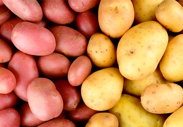 Red Yellow Potatoes Horizontal